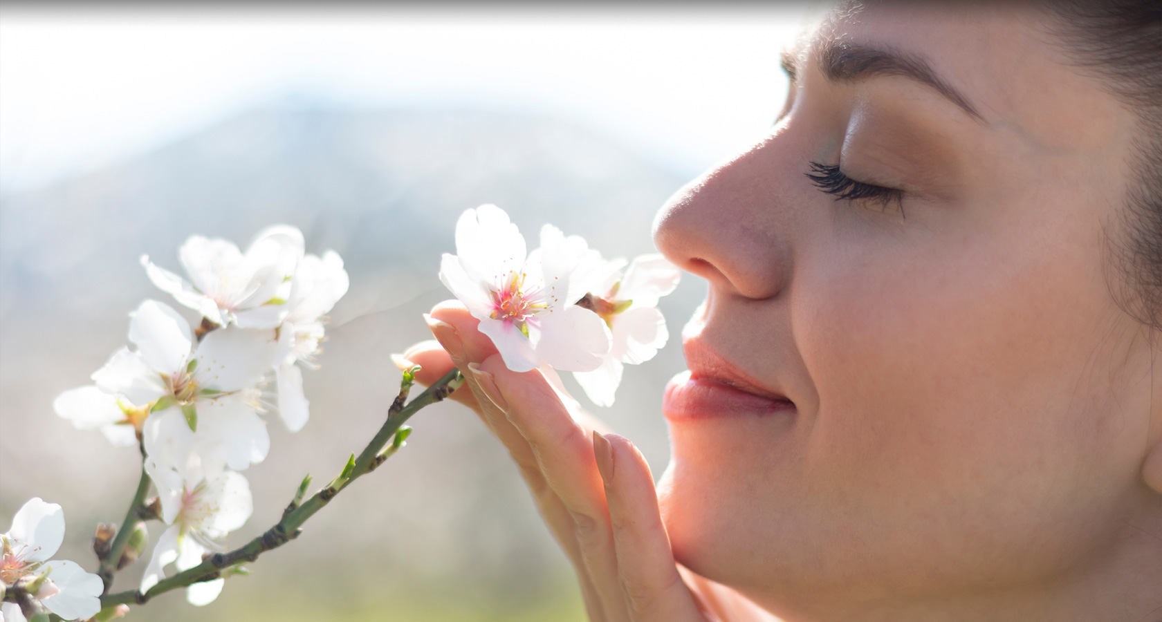 img-newsmileorthodontics-header